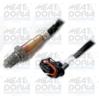 Oxygen Sensor